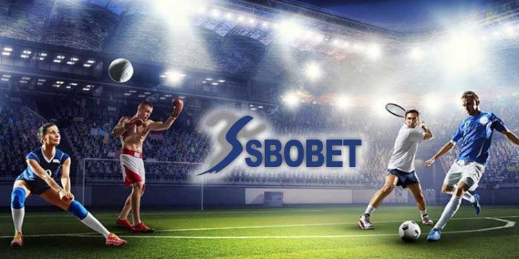 Taruhan Judi Bola yang Menguntungkan: Jenis Taruhan Apa yang Harus Dipilih?